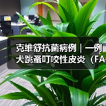 克维舒抗菌病例 | 一例犬跳蚤叮咬性皮炎（FAD）的病例分析(图2)