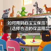 如何用鹦鹉宝宝保温？（选择合适的保温用品）(图4)