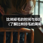 比熊掉毛的时间与原因（了解比熊掉毛的周期和生理变化，掌握科学护理方法）(图1)