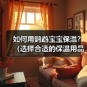 如何用鹦鹉宝宝保温？（选择合适的保温用品）(图2)