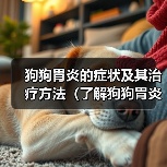狗狗胃炎的症状及其治疗方法(了解狗狗胃炎的症状并及时采取措施保护你的爱宠)(图4) 狗狗胃炎的症状及其治疗方法(了解狗狗胃炎的症状并及时采取措施保护你的爱宠)(图4)