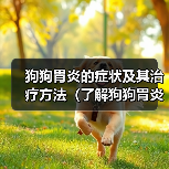 狗狗胃炎的症状及其治疗方法(了解狗狗胃炎的症状并及时采取措施保护你的爱宠)(图3) 狗狗胃炎的症状及其治疗方法(了解狗狗胃炎的症状并及时采取措施保护你的爱宠)(图3)