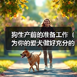 狗生产前的准备工作（为你的爱犬做好充分的