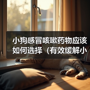 小狗感冒咳嗽药物应该如何选择（有效缓解小狗感冒咳嗽的药物选择及使用注意事项）(图2)