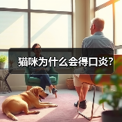 猫咪为什么会得口炎？(图4)