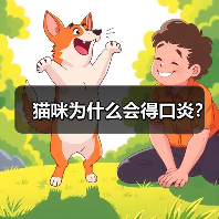 猫咪为什么会得口炎？ - 新生家伴