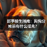 新手接生指南：狗狗分娩前有什么征兆？