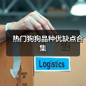 热门狗狗品种优缺点合集