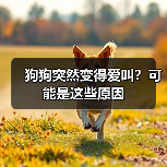 狗狗突然变得爱叫？可能是这些原因(图3)