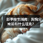 新手接生指南：狗狗分娩前有什么征兆？(图4)