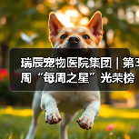 瑞辰宠物医院集团 | 第3周“每周之星”光荣榜(图2)