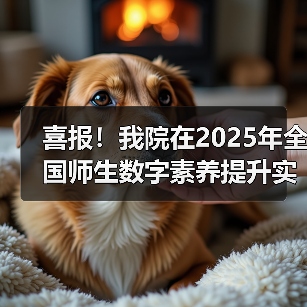 喜报！我院在2025年全国师生数字素养提升实践活动中荣获“标杆作品”！(图3)
