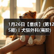 1月26日【重庆】(第125期)丨犬猫外科(高阶)班！含SUB(人人可实操)、乳糜胸等技术！(图4)