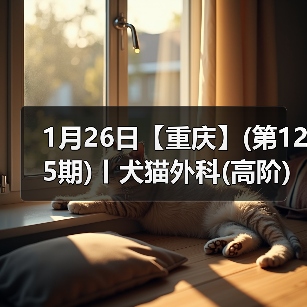 1月26日【重庆】(第125期)丨犬猫外