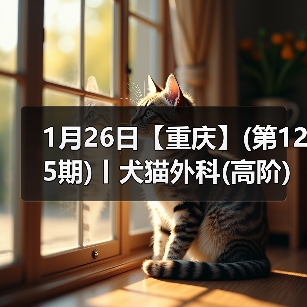 1月26日【重庆】(第125期)丨犬猫外科(高阶)班！含SUB(人人可实操)、乳糜胸等技术！(图3)