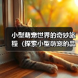 小型萌宠世界的奇妙旅程（探索小型萌宠的品种多样性与可爱魅力）(图2)