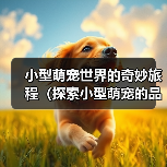 小型萌宠世界的奇妙旅程（探索小型萌宠的品种多样性与可爱魅力）(图3)