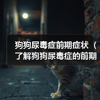 狗狗尿毒症前期症状（了解狗狗尿毒症的前期症状，及时保护它的肾 - 新生家伴