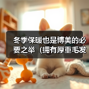 冬季保暖也是博美的必要之举（拥有厚重毛发的博美也需要保暖，了解关键方法吧！）(图3)