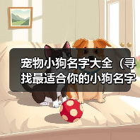 宠物小狗名字大全（寻找最适合你的小狗名字的关键点） - 新生家伴