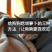 给狗狗吃胡萝卜的三种方法（让狗狗更喜欢吃胡萝卜的小窍门）(图4)