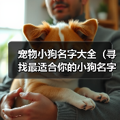 宠物小狗名字大全（寻找最适合你的小狗名字的关键点）(图3)