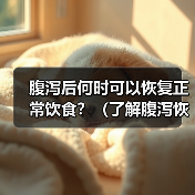 腹泻后何时可以恢复正常饮食？（了解腹泻恢复期间的饮食要注意的关键事项）(图4)
