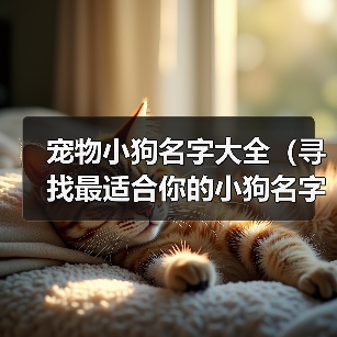 宠物小狗名字大全（寻找最适合你的小狗名字的关键点）(图4)