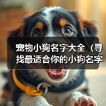 宠物小狗名字大全（寻找最适合你的小狗名字的关键点）(图2)