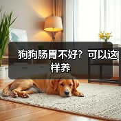 狗狗肠胃不好？可以这样养(图2)