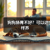 狗狗肠胃不好？可以这样养(图3)