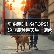 狗狗爱叫排名TOP5！这些品种是天生“话痨”(图2)