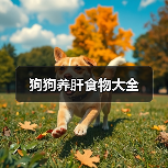 狗狗养肝食物大全(图2)