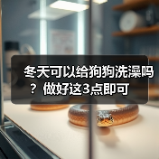 冬天可以给狗狗洗澡吗？做好这3点即可(图1)