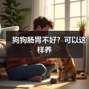 狗狗肠胃不好？可以这样养 - 新生家伴