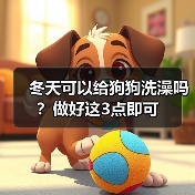 冬天可以给狗狗洗澡吗？做好这3点即可(图2)