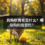 狗狗软骨素是什么？哪些狗狗需要吃？(图3)