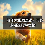 老年犬视力衰退？可以多喂这几种食物(图2)