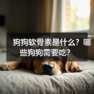 狗狗软骨素是什么？哪些狗狗需要吃？(图2)