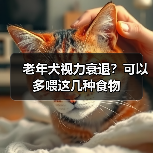 老年犬视力衰退？可以多喂这几种食物(图3)