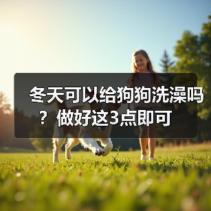 冬天可以给狗狗洗澡吗？做好这3点即可(图4)