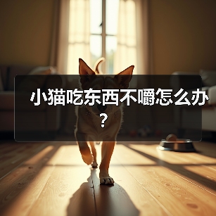 小猫吃东西不嚼怎么办？(图4)