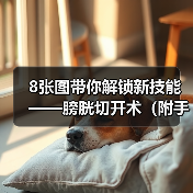 8张图带你解锁新技能——膀胱切开术(附手术视频)(图4) 8张图带你解锁新技能——膀胱切开术(附手术视频)(图4)