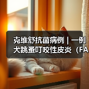 克维舒抗菌病例 | 一例犬跳蚤叮咬性皮炎(FAD)的病例分析(图3) 克维舒抗菌病例 | 一例犬跳蚤叮咬性皮炎(FAD)的病例分析(图3)