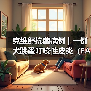 克维舒抗菌病例 | 一例犬跳蚤叮咬性皮炎(FAD)的病例分析(图1) 克维舒抗菌病例 | 一例犬跳蚤叮咬性皮炎(FAD)的病例分析(图1)