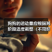 狗狗的运动量应根据其阶段适度调整(不同阶段的狗狗需要不同的运动量和活动方式)(图3) 狗狗的运动量应根据其阶段适度调整(不同阶段的狗狗需要不同的运动量和活动方式)(图3)
