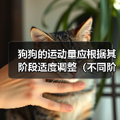 狗狗的运动量应根据其阶段适度调整(不同阶段的狗狗需要不同的运动量和活动方式)(图4) 狗狗的运动量应根据其阶段适度调整(不同阶段的狗狗需要不同的运动量和活动方式)(图4)