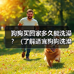 狗狗买回家多久能洗澡?(了解适宜狗狗洗澡的时间和方法)(图4) 狗狗买回家多久能洗澡?(了解适宜狗狗洗澡的时间和方法)(图4)