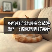 狗狗打完针后多久能洗澡?(探究狗狗打完针后洗澡的最佳时间和注意事项)(图1) 狗狗打完针后多久能洗澡?(探究狗狗打完针后洗澡的最佳时间和注意事项)(图1)