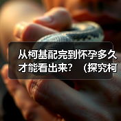 从柯基配完到怀孕多久才能看出来？（探究柯基繁殖的时间节点和迹象）(图4)